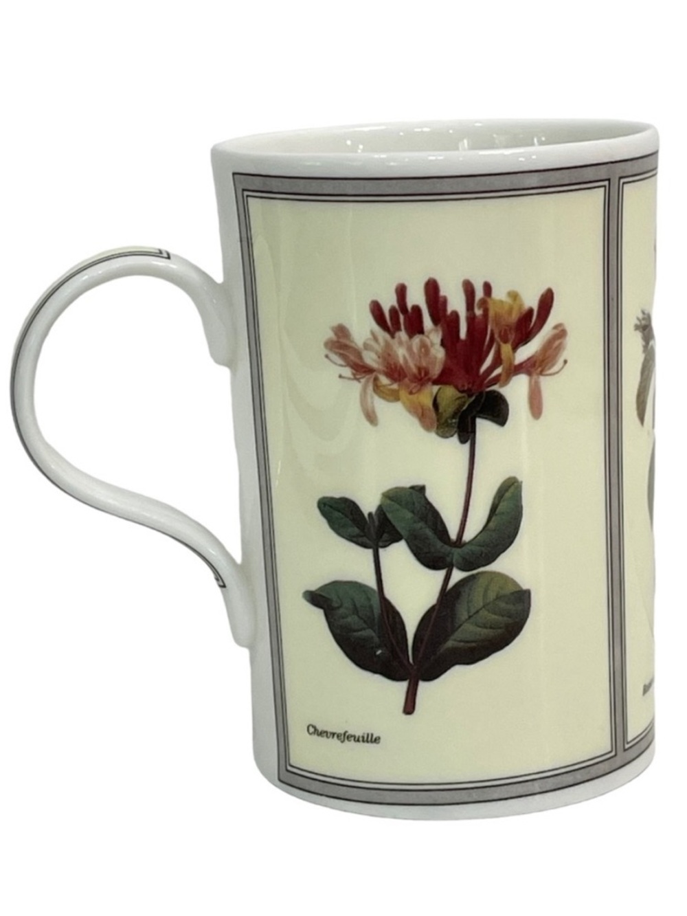 WREN Botanica Floral Fine Bone China Tea Cup Coffee Mug Made in England 10 Oz